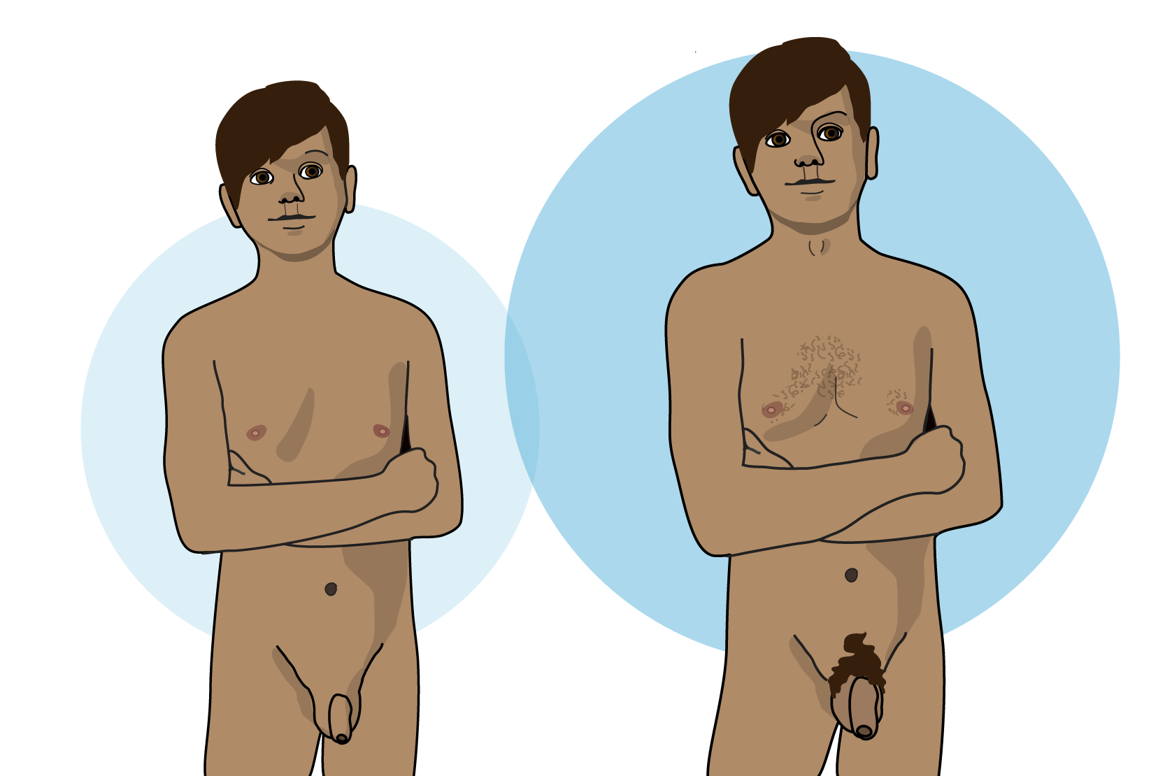 Illustration av en kille som inte har kommit i puberteten och en pil mot samma kille som har kommit i puberteten. Han till höger har bredare axlar, hårväxt på kroppen och större penis.