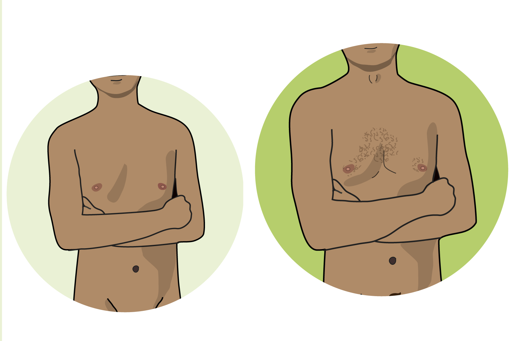 Två överkroppar, där den ena fått hår på bröstet. Illustration.