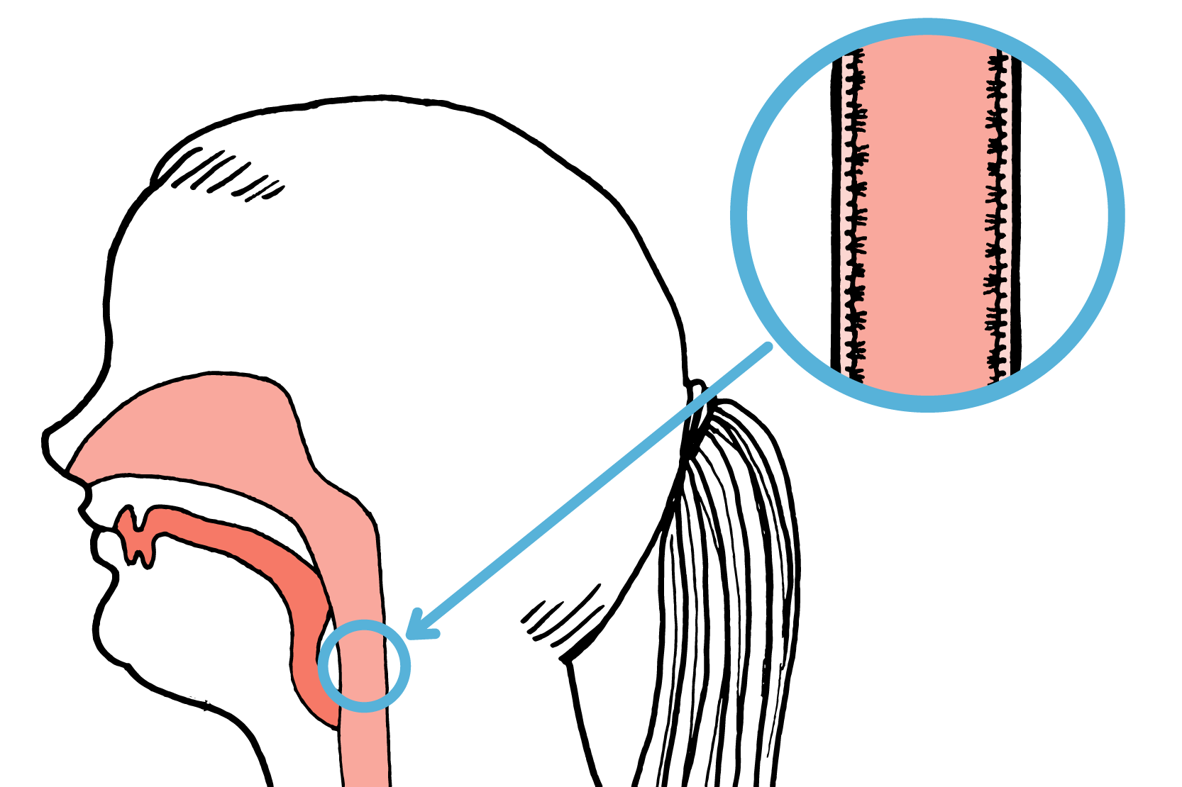 Luftstrupen med små strån längs kanterna. Illustration.